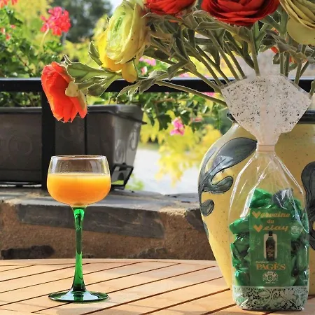 Ferienhaus A Avec Terrasse, Proche Sites Touristiques Et Commerces - Fr-1-582-219